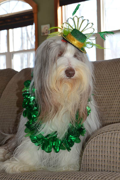 Tegan wearing the green for St. Patrick's Day